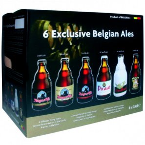 Пивной набор Коллекция / Exclusive Belgien Ales (0,33л. 6бут.)