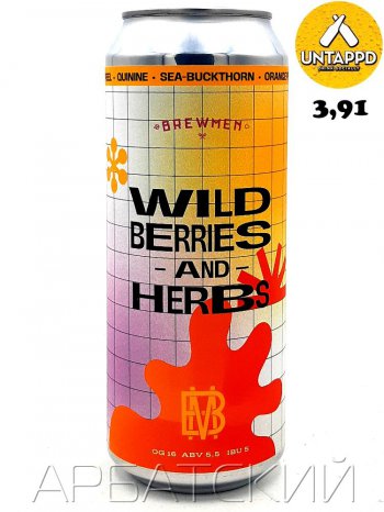 Брюмен соур эль версия 7 / Brewmen Wildberries And Herbs 0,5л. алк.5,5% ж/б.